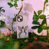 PETS - RABBIT