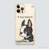 PETS - BOSTON TERRIER
