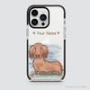 PETS - DACHSHUND
