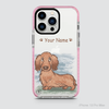 PETS - DACHSHUND