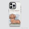 PETS - DACHSHUND