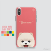 CUTE DOGS - POMERANIAN