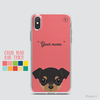 CUTE DOGS - CHIHUAHUA