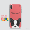CUTE DOGS - BOSTON TERRIER