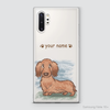PETS - DACHSHUND