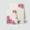 FLORAL - PINKY ROSES