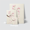MAGNOLIA