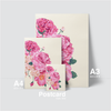 FLORAL - PINK PEONY