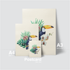 TROPICAL FOREST - TUCAN