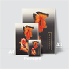 GOLD FISH - TWO BUTTERFLY TAIL