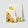 SUNFLOWER - LOOKING FOR THE LIGHT