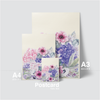 HYDRANGEA FLOWERS - PINKY MIX