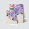HYDRANGEA FLOWERS - BIG VIOLET