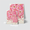 SPRING BLOSSOM - BLOSSOM SKY