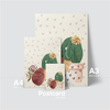 CACTUS - HEDGEHOG