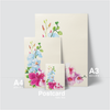 ELEGANT ORCHID - BLUE & PINK