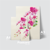 ELEGANT ORCHID - PINK & WHITE