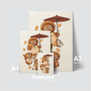HAPPY TANUKI - MONEY