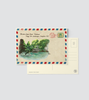 ENVELOPE - TRÀNG AN