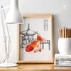 GOLD FISH - RANCHU