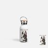 PETS - BOSTON TERRIER