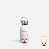 CUTE DOGS - POMERANIAN