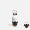 CUTE DOGS - CHIHUAHUA
