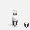 CUTE DOGS - BOSTON TERRIER