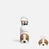 CUTE DOGS - BEAGLE