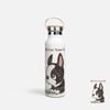 PETS - BOSTON TERRIER