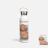 PETS - DACHSHUND