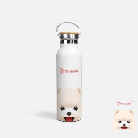 CUTE DOGS - POMERANIAN