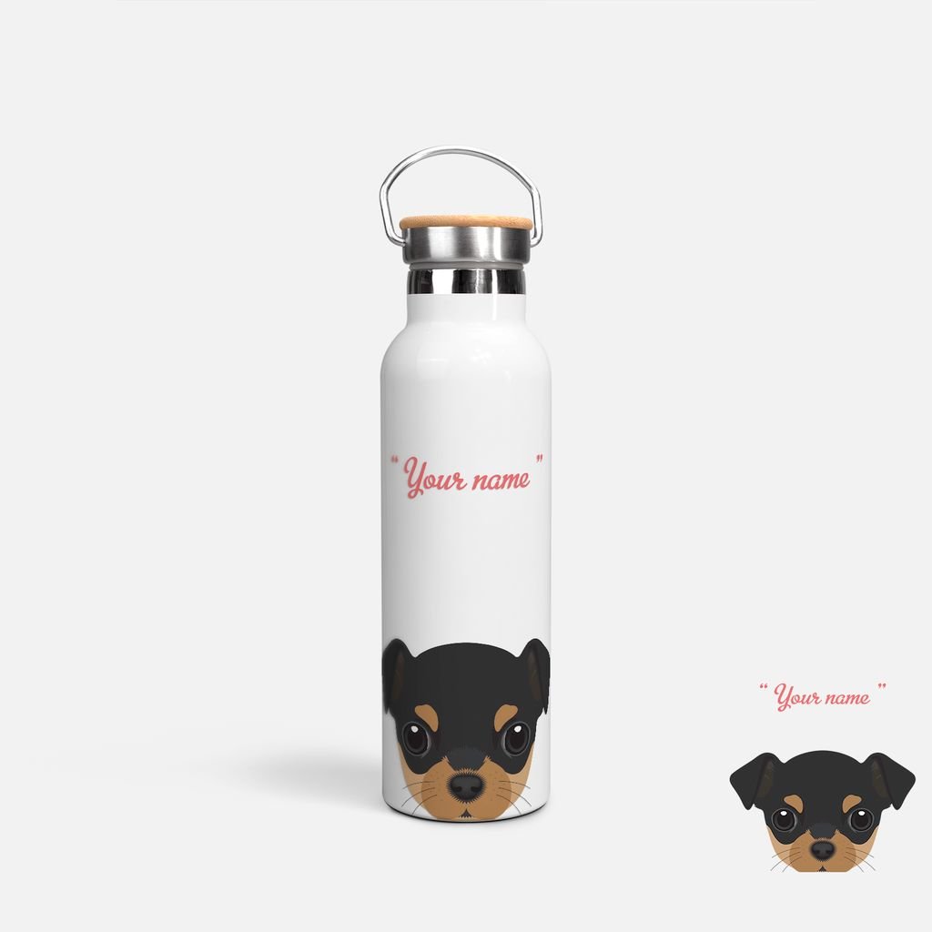 CUTE DOGS - CHIHUAHUA