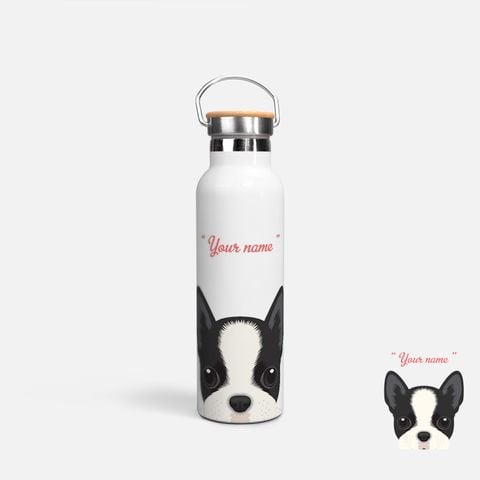 CUTE DOGS - BOSTON TERRIER