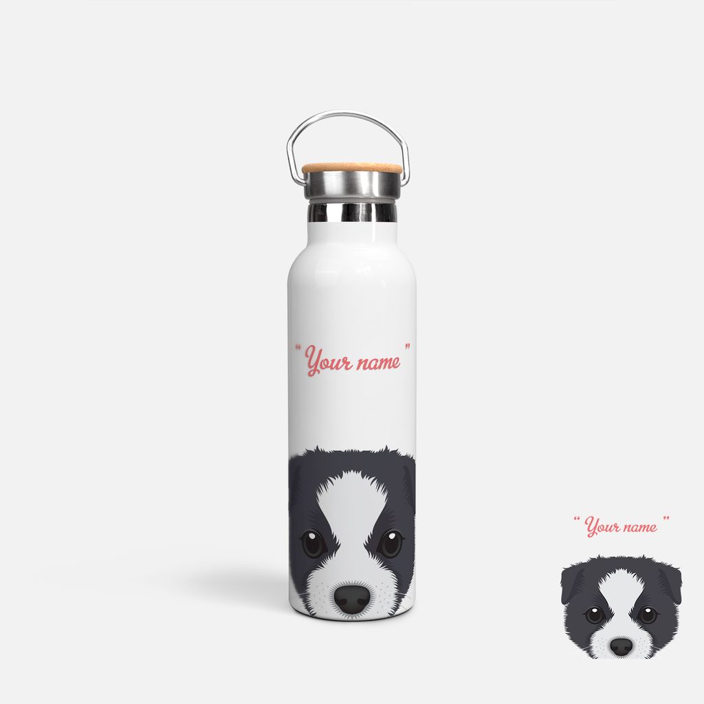 CUTE DOGS - BORDER COLLIE