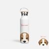 CUTE DOGS - BEAGLE