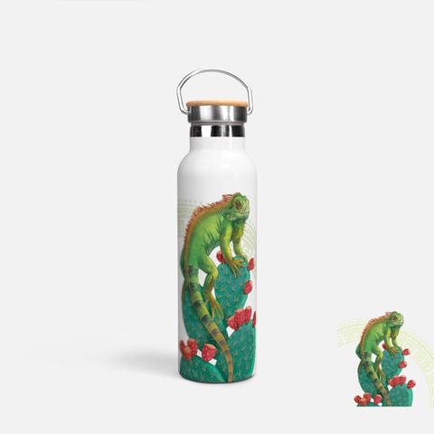 IGUANA & CACTUS
