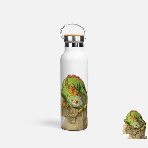 GREEN IGUANA