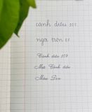  Ngòi vuông tròn đều bút Cánh Diều 107 EF, 109 EF và 203 EF 