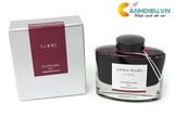  Mực bút máy Pilot Iroshizuku 50ml 