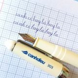  Ngòi mài mức trung bình - thay thế cho bút Cánh Diều 303, Cánh Diều 110 ngòi mài 