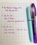  Ngòi kim tinh thay thế cho bút Cánh Diều 202, 106, 107 