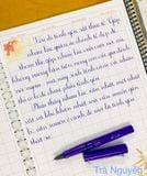  Bút Cánh Diều 102 lá tre không gỉ 