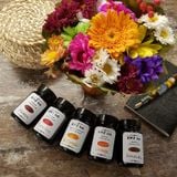  Mực bút máy KWZ (Ba Lan) - lọ 60ml 