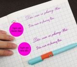  Bút máy Cánh Diều 106 ngòi kim tinh 