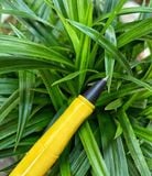  Bút Cánh Diều 107 ngòi kim tinh 