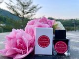  Mực Cánh Diều phổ thông 25ml 