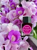  Mực Cánh Diều phổ thông 25ml 