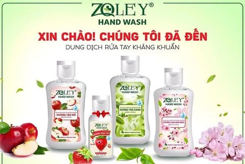 Nước rửa tay khô Zoley diệt khuẩn