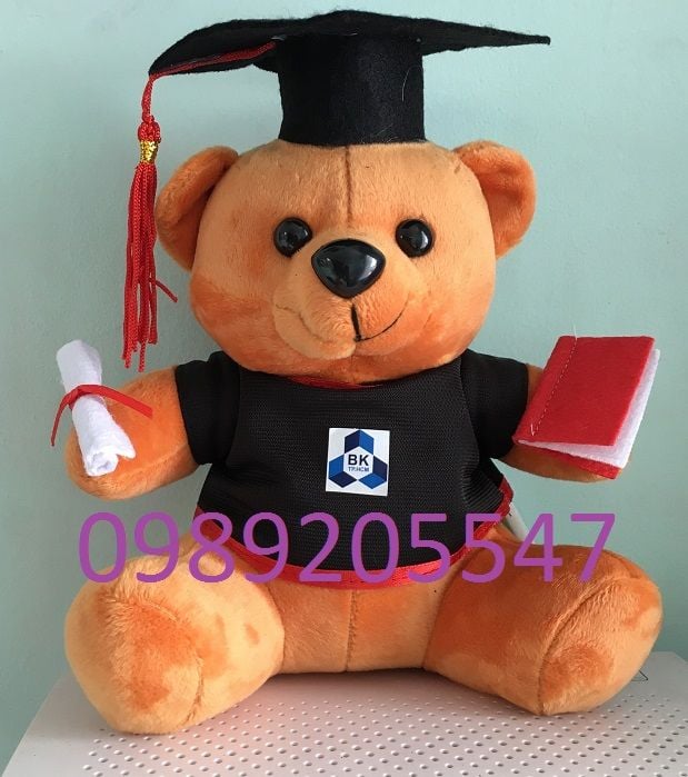 Gấu bông tốt nghiệp Đại học Bách Khoa chỉ 65K